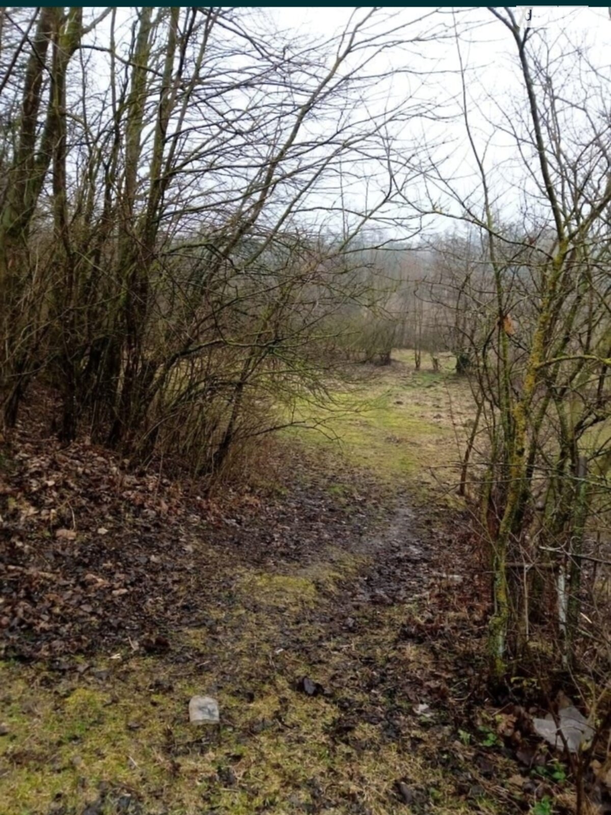 Земельна ділянка під житлову забудову в Малиничі, площа 19.6 сотки фото 1 Земельна ділянка під житлову забудову в Малиничі, площа 19.6 сотки фото 1