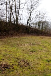 Земельна ділянка під житлову забудову в Малиничі, площа 19.6 сотки фото 2