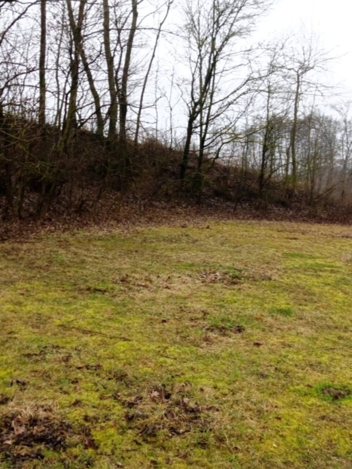 Земельна ділянка під житлову забудову в Малиничі, площа 19.6 сотки фото 1 Земельна ділянка під житлову забудову в Малиничі, площа 19.6 сотки фото 1