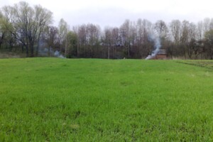 Земельна ділянка під житлову забудову в Малополовецькому, площа 25 соток фото 2