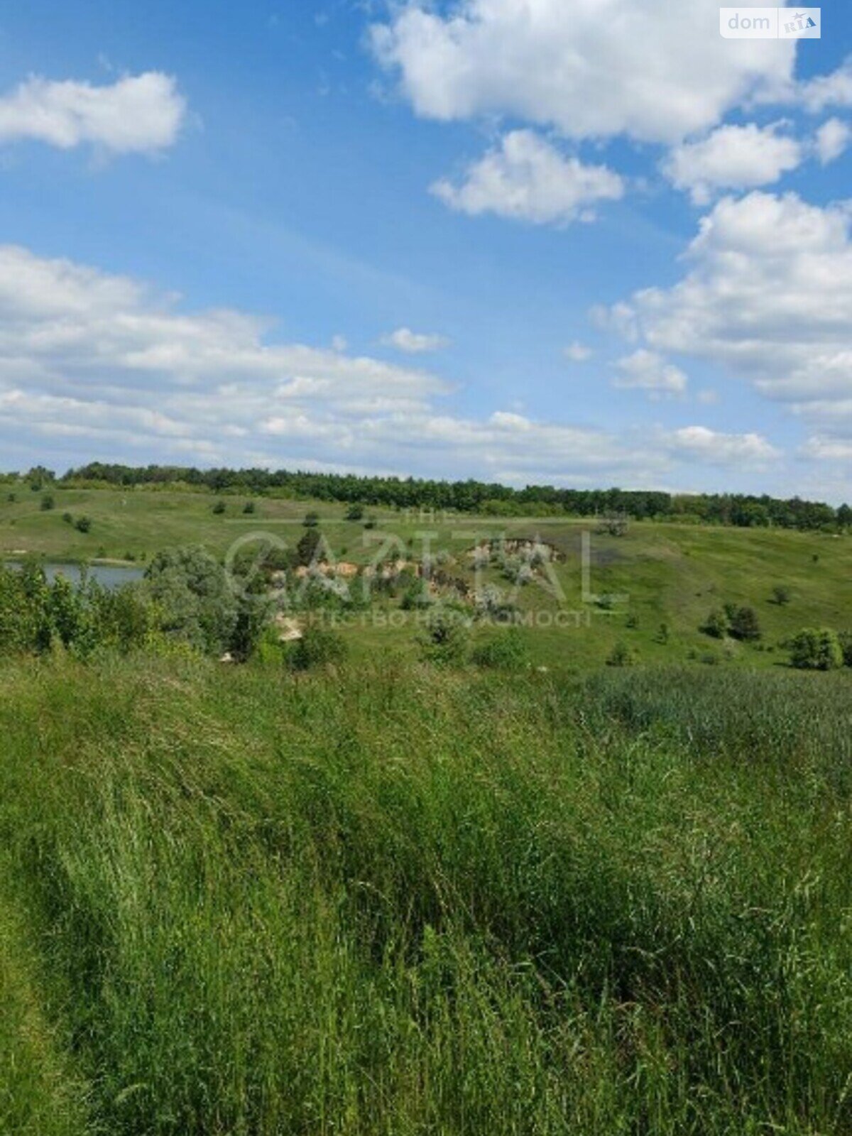 Земельна ділянка під житлову забудову в Малих Дмитровичах, площа 850 соток фото 1