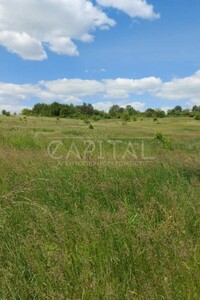 Земельна ділянка під житлову забудову в Малих Дмитровичах, площа 850 соток фото 2