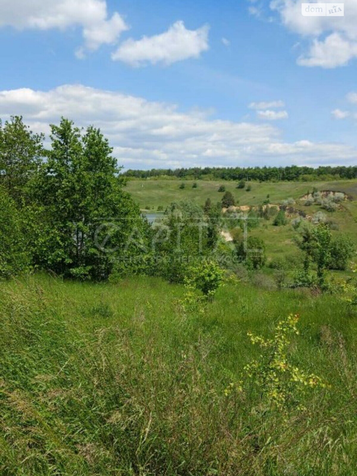 Земельна ділянка під житлову забудову в Малих Дмитровичах, площа 850 соток фото 1