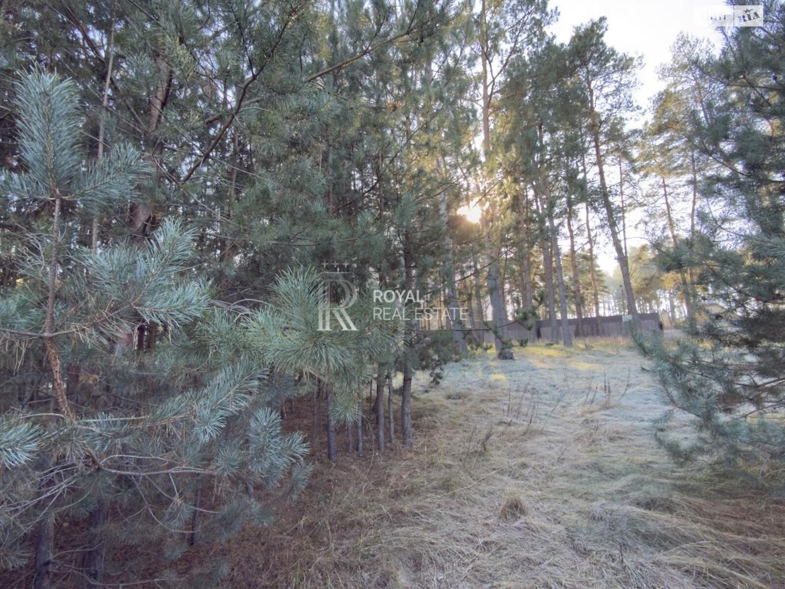 Земельный участок под жилую застройку в Малютянке, площадь 43.7 сотки фото 1 Земельный участок под жилую застройку в Малютянке, площадь 43.7 сотки фото 1