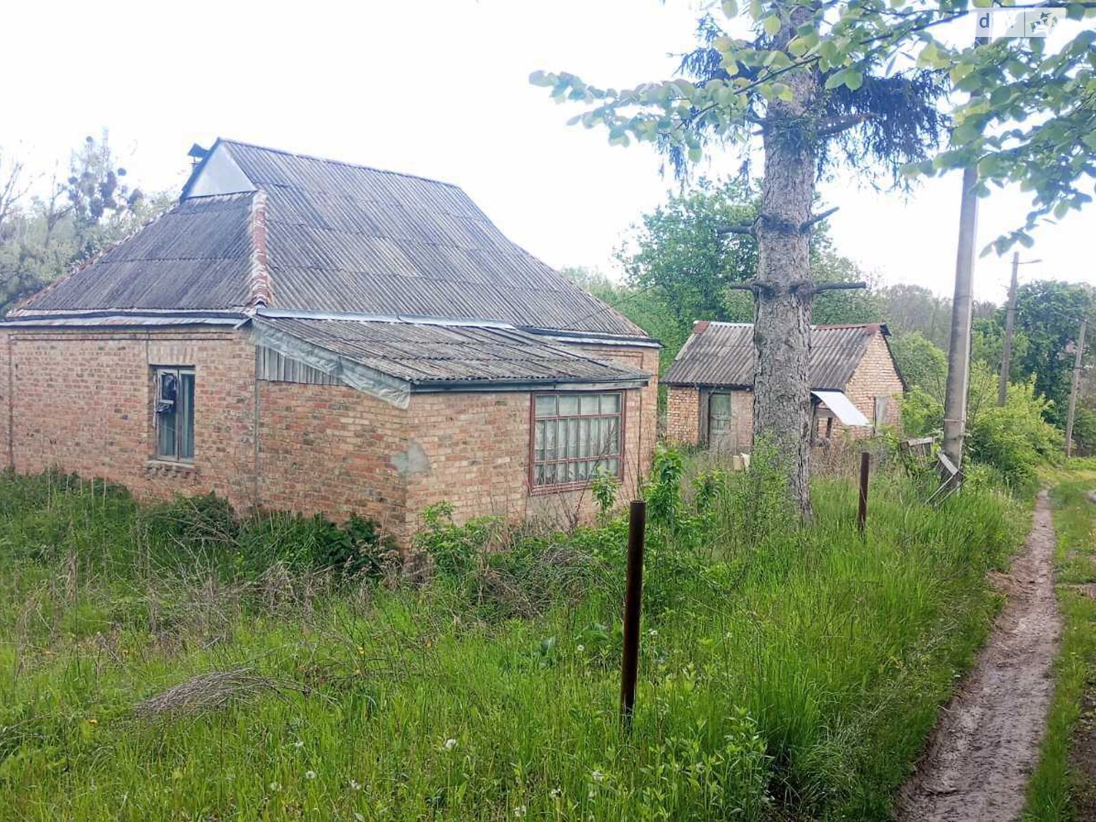 Земельна ділянка під житлову забудову в Малому Букрині, площа 25 соток фото 1 Земельна ділянка під житлову забудову в Малому Букрині, площа 25 соток фото 1