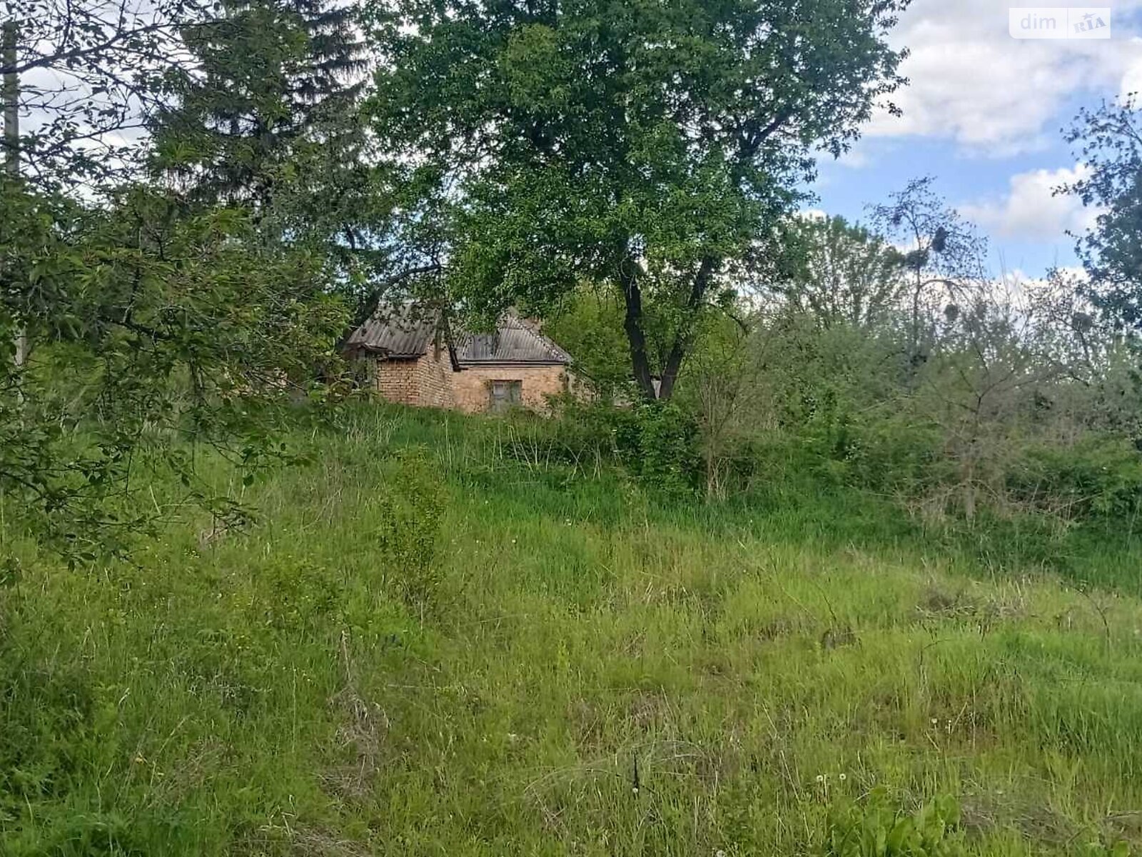 Земельна ділянка під житлову забудову в Малому Букрині, площа 25 соток фото 1 Земельна ділянка під житлову забудову в Малому Букрині, площа 25 соток фото 1