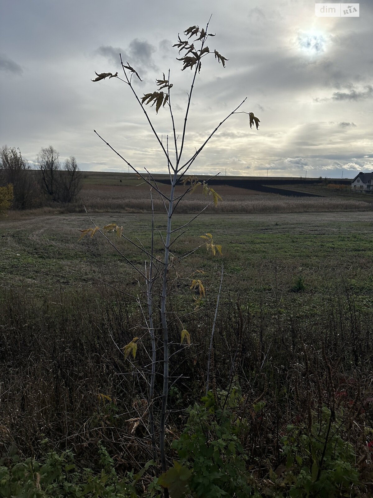 Земельный участок под жилую застройку в Малом Ходачкове, площадь 53 сотки фото 1 Земельный участок под жилую застройку в Малом Ходачкове, площадь 53 сотки фото 1