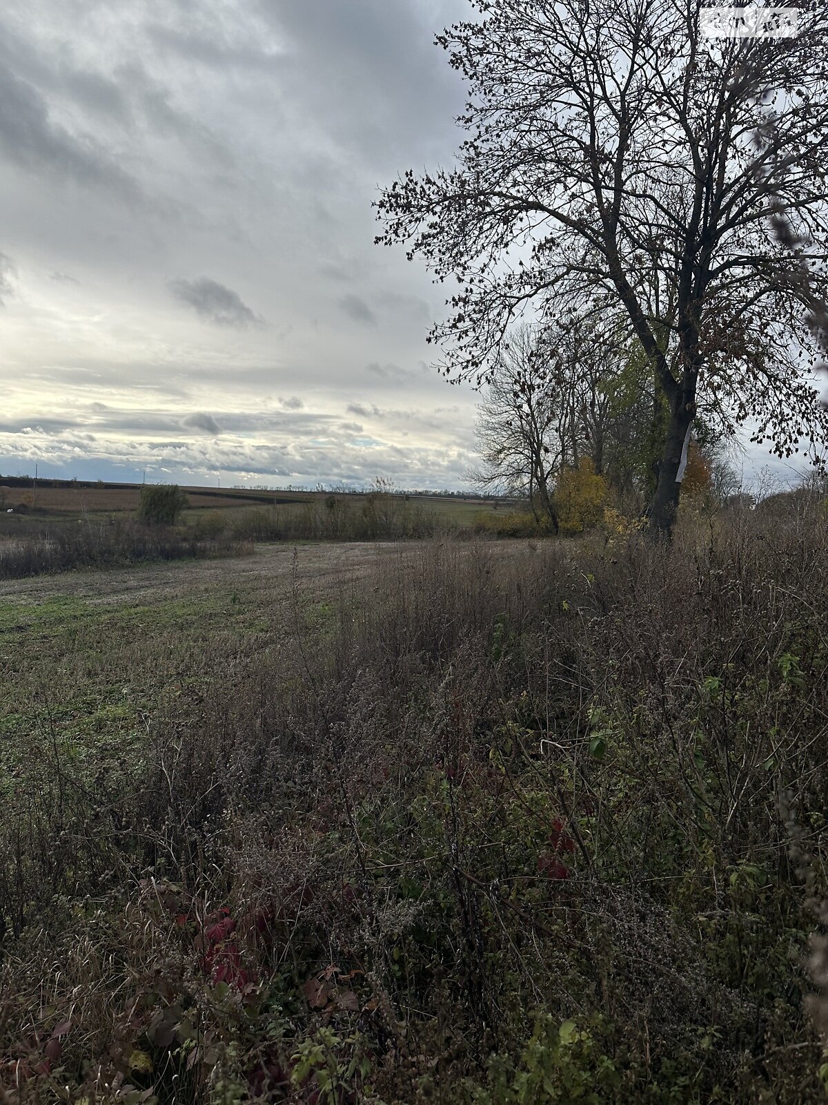 Земельный участок под жилую застройку в Малом Ходачкове, площадь 53 сотки фото 1 Земельный участок под жилую застройку в Малом Ходачкове, площадь 53 сотки фото 1