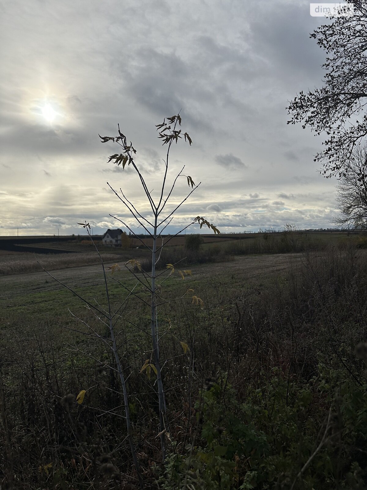 Земельный участок под жилую застройку в Малом Ходачкове, площадь 53 сотки фото 1 Земельный участок под жилую застройку в Малом Ходачкове, площадь 53 сотки фото 1
