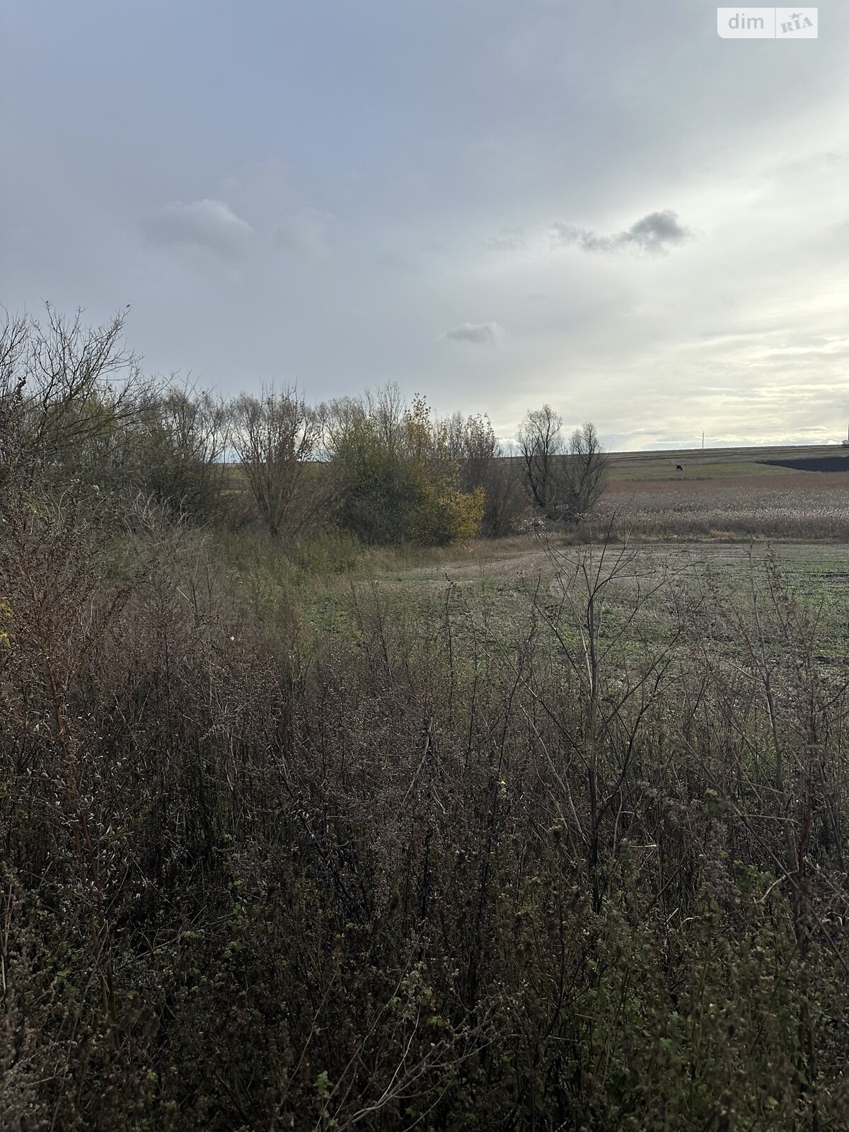 Земельный участок под жилую застройку в Малом Ходачкове, площадь 53 сотки фото 1 Земельный участок под жилую застройку в Малом Ходачкове, площадь 53 сотки фото 1