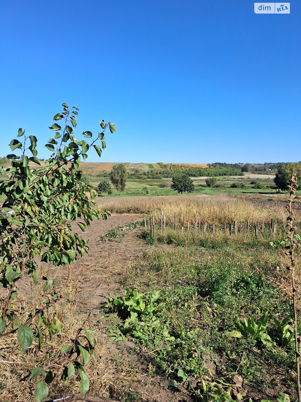 Земельна ділянка під житлову забудову в Малому Житині, площа 39.92 сотки фото 1