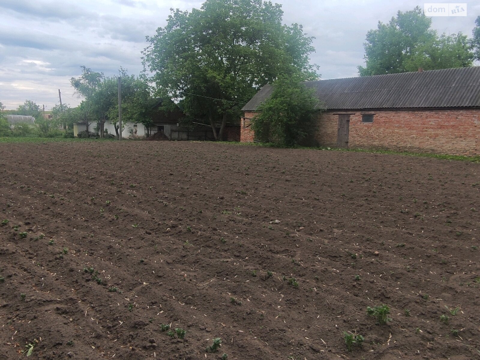 Земля під житлову забудову в Маньківці, район Маньківка, площа 0.1416 Га фото 1