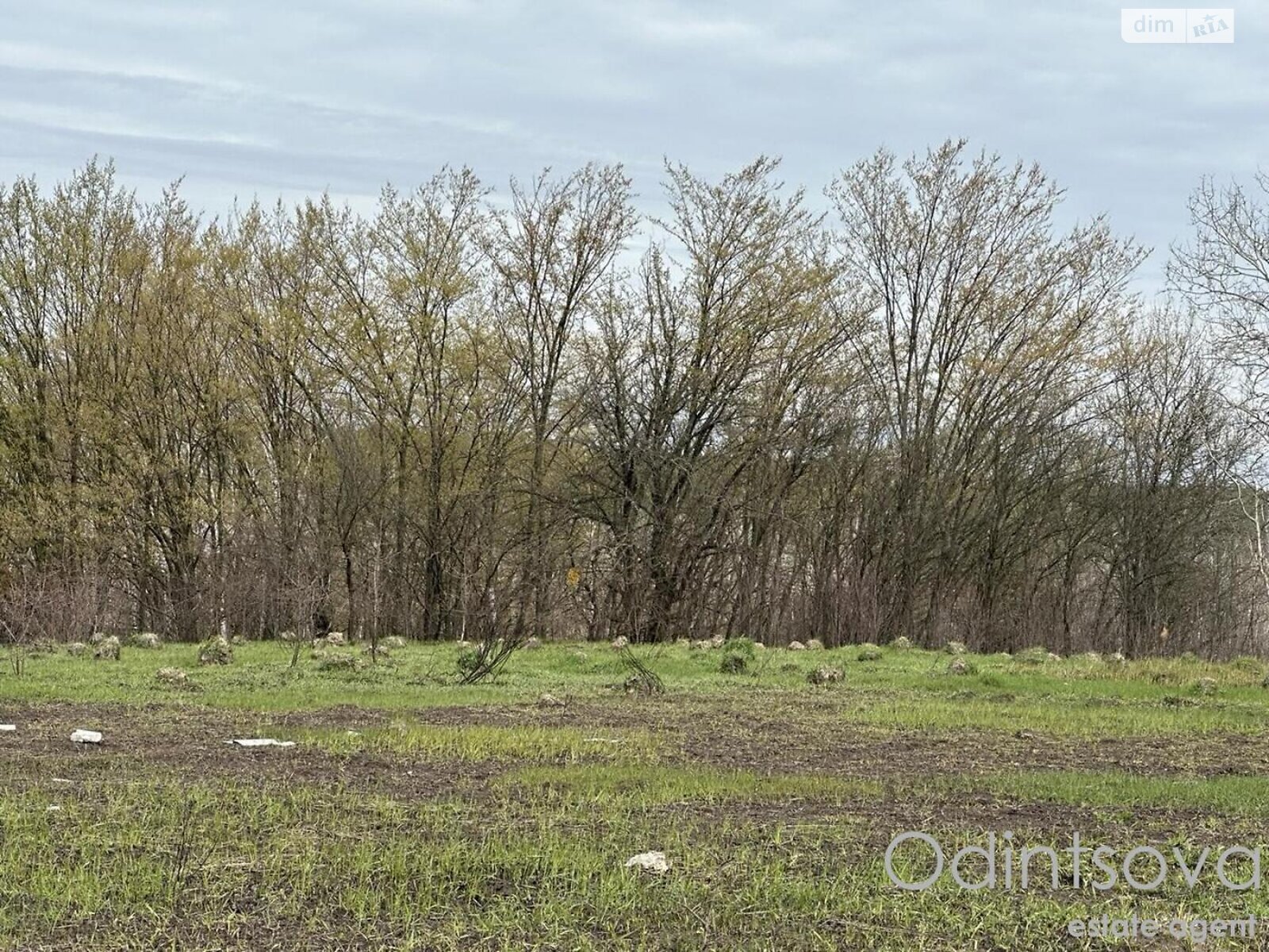 Земельна ділянка під житлову забудову в Мархалівці, площа 200 соток фото 1 Земельна ділянка під житлову забудову в Мархалівці, площа 200 соток фото 1