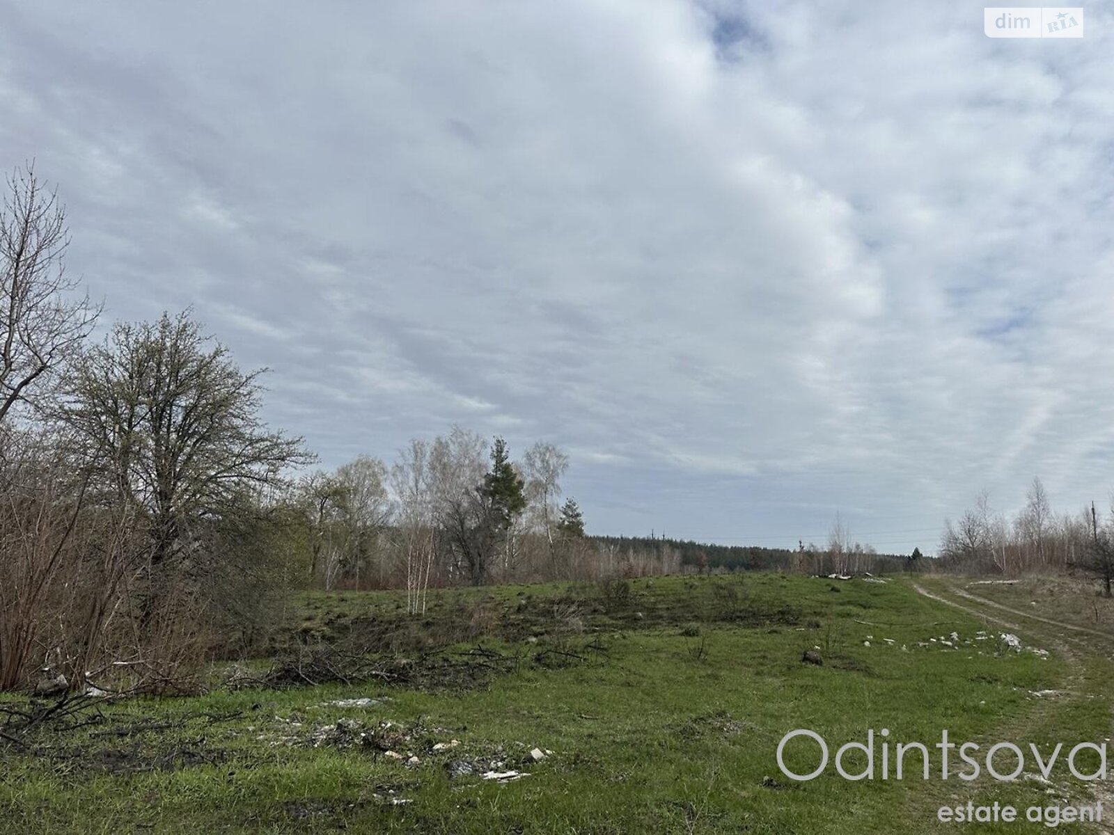 Земельна ділянка під житлову забудову в Мархалівці, площа 200 соток фото 1 Земельна ділянка під житлову забудову в Мархалівці, площа 200 соток фото 1