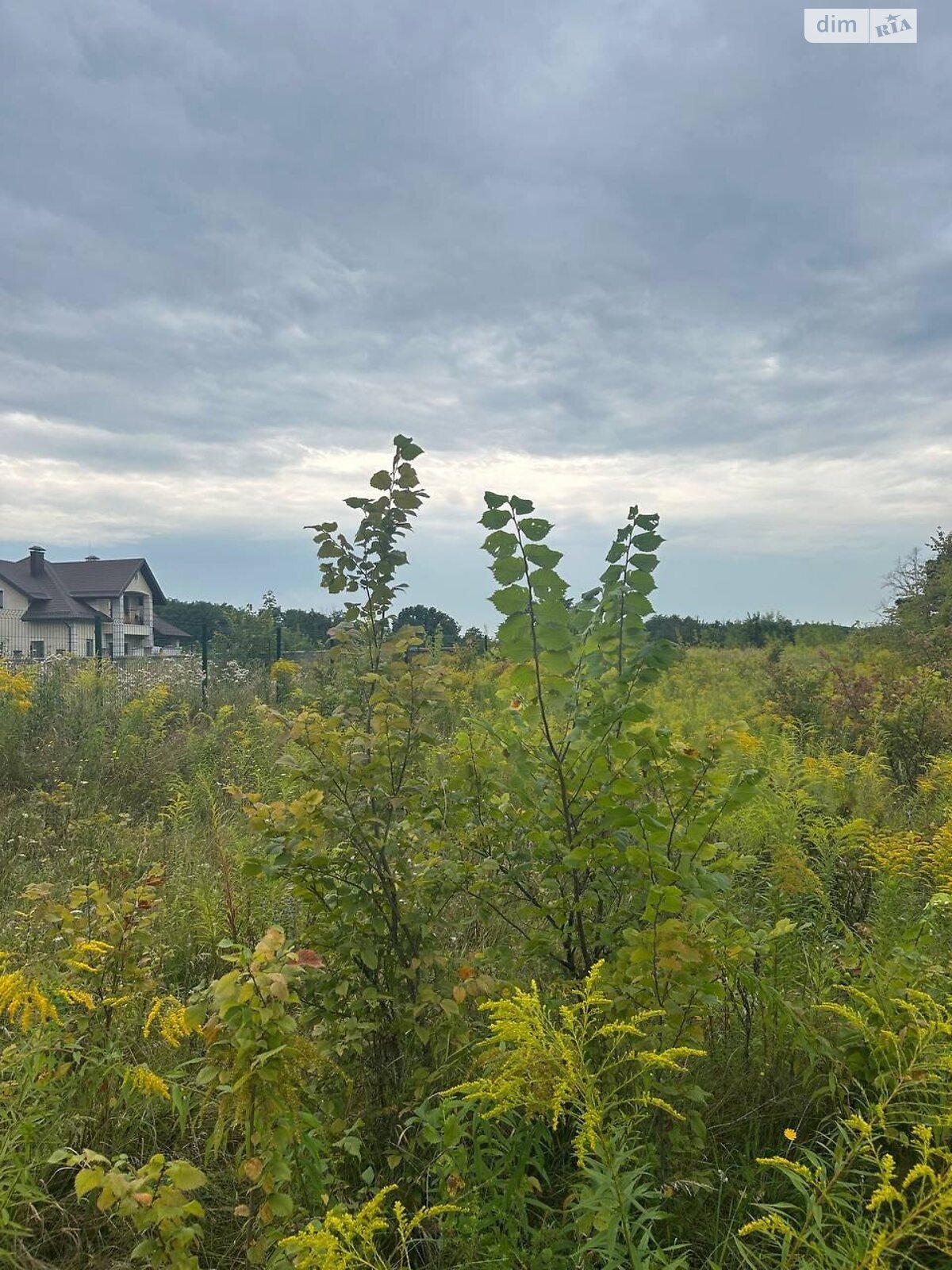 Земельный участок под жилую застройку в Мархалевке, площадь 18.54 сотки фото 1