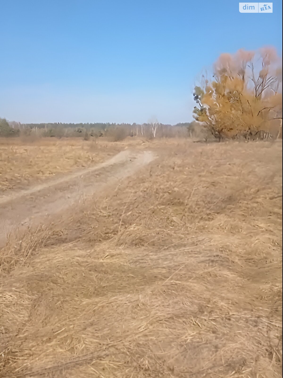 Земельный участок под жилую застройку в Марьяновке, площадь 80 Га фото 1