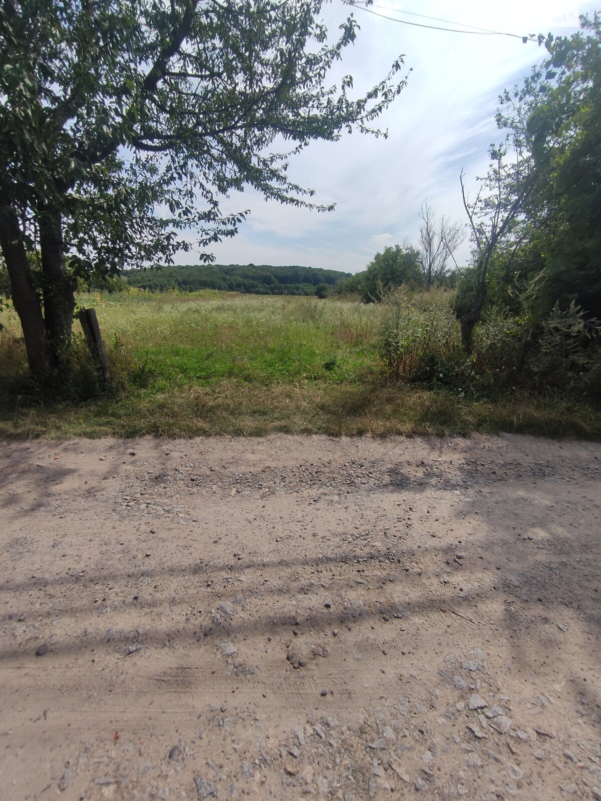 Земельна ділянка під житлову забудову в Майдані-Чапельскому, площа 19.7 сотки фото 1