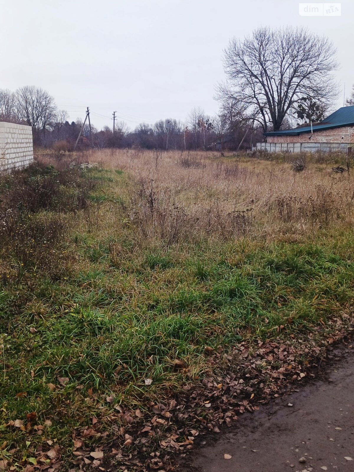 Земельный участок под жилую застройку в Медвежьем Ушке, площадь 25 соток фото 1
