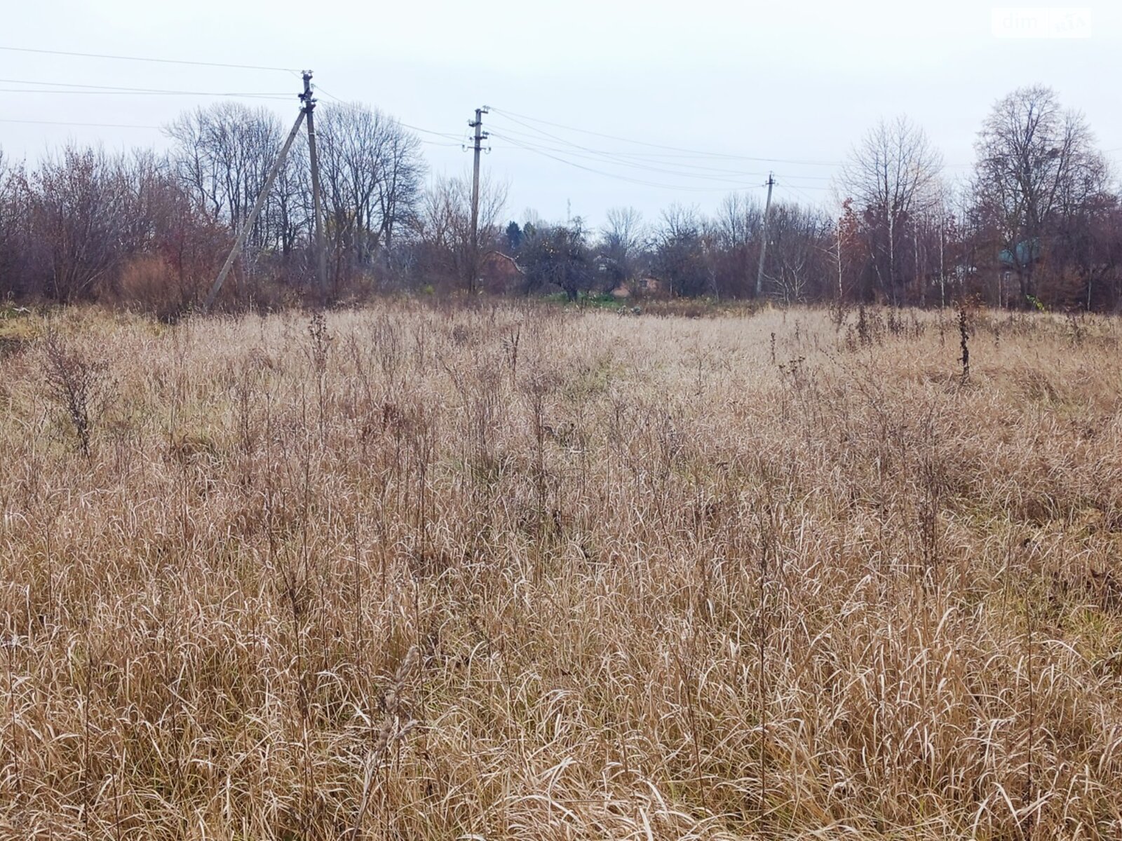 Земельный участок под жилую застройку в Медвежьем Ушке, площадь 25 соток фото 1