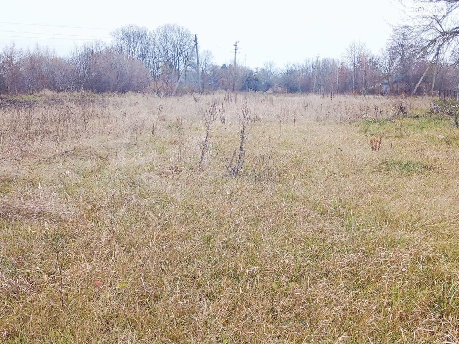 Земельный участок под жилую застройку в Медвежьем Ушке, площадь 25 соток фото 1