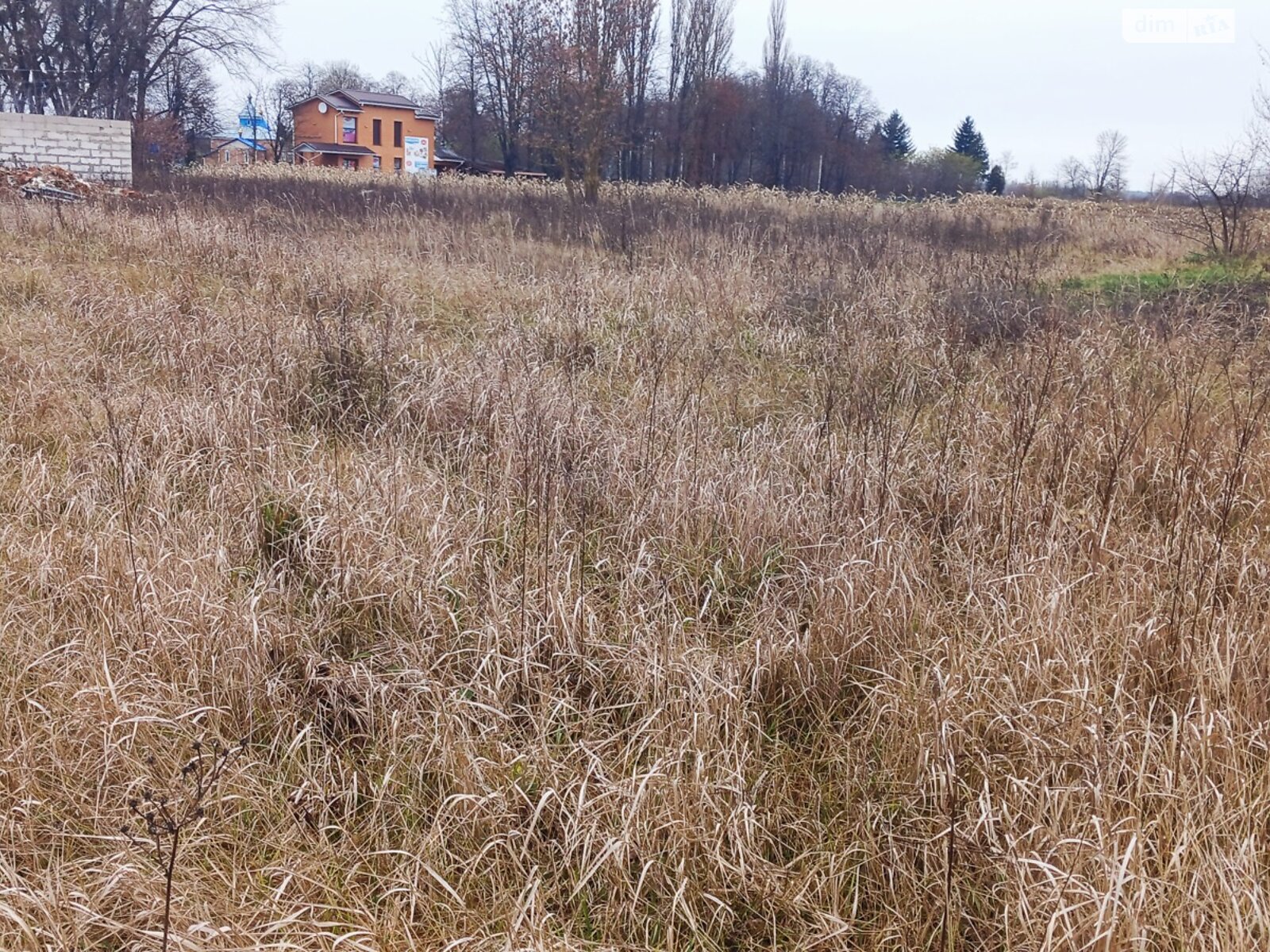 Земельный участок под жилую застройку в Медвежьем Ушке, площадь 25 соток фото 1