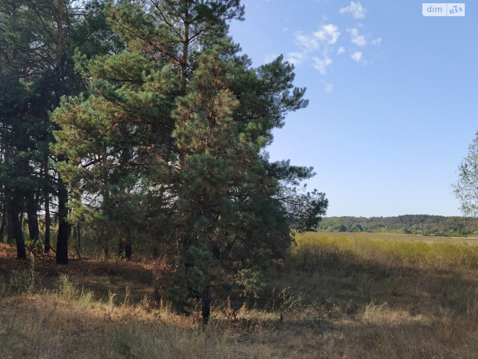 Земельна ділянка під житлову забудову в Михайлівці, площа 75 соток фото 1