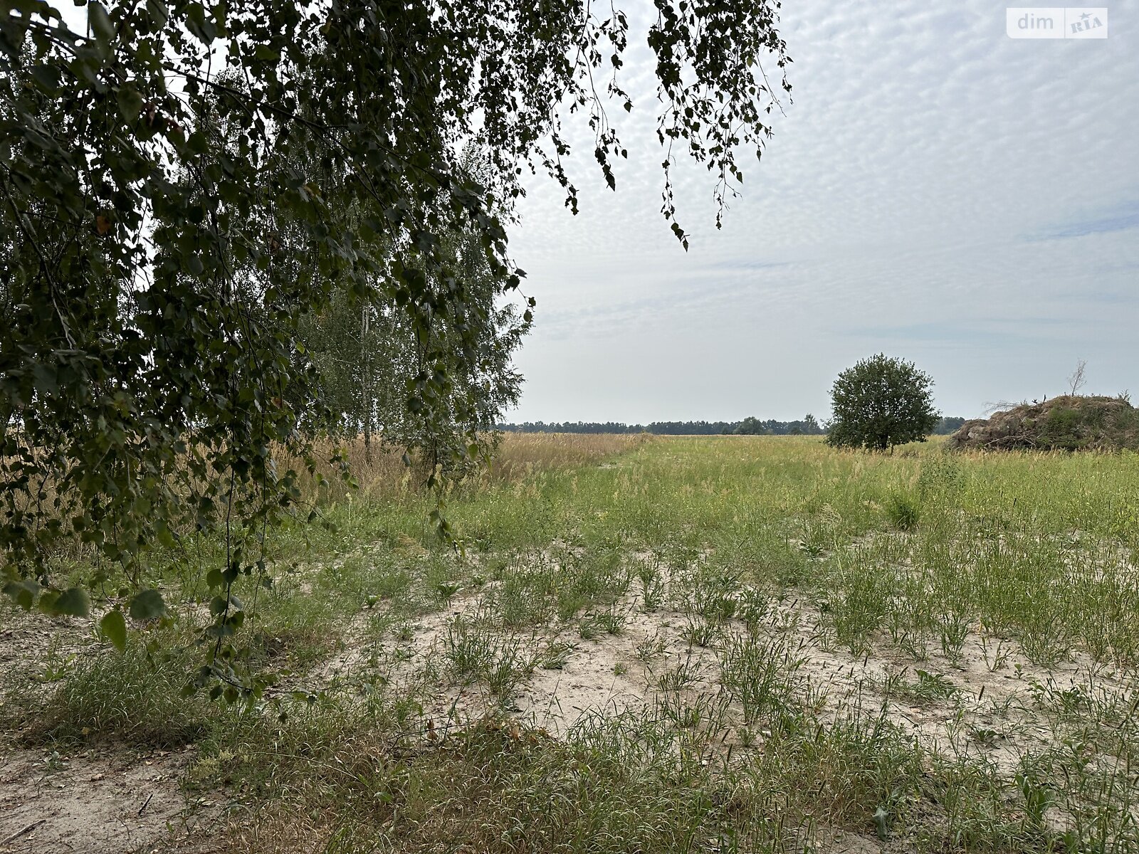 Земельный участок под жилую застройку в Михайловке-Рубежовке, площадь 60 соток фото 1