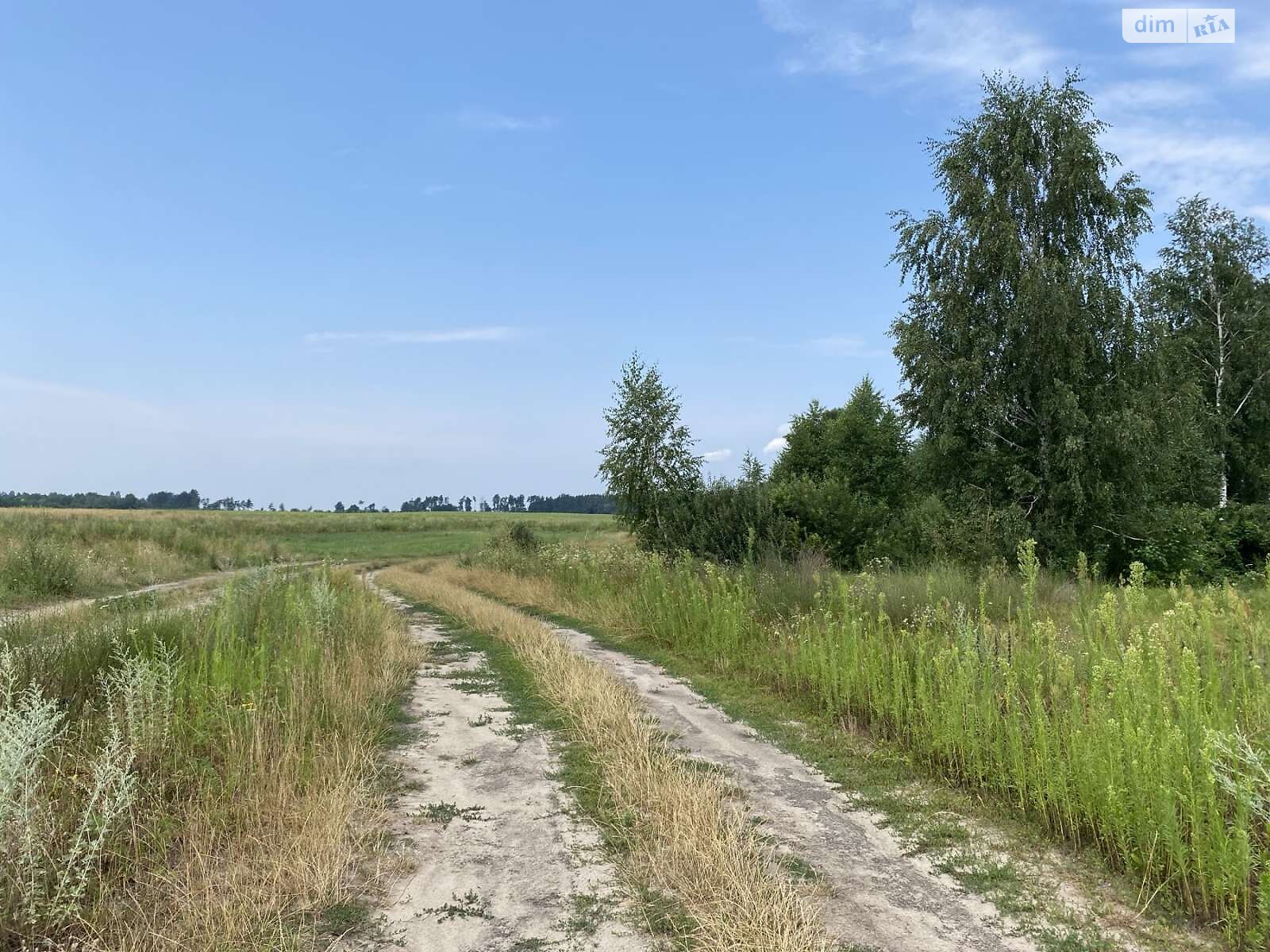 Земельна ділянка під житлову забудову в Михайлівці-Рубежівці, площа 8.44 сотки фото 1