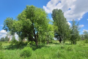 Земельна ділянка під житлову забудову в Михайлівці-Рубежівці, площа 10.74 сотки фото 2