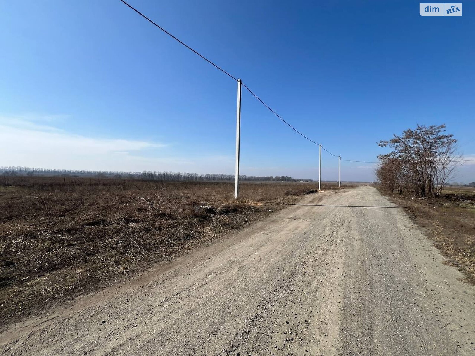 Земельна ділянка під житлову забудову в Михайлівці-Рубежівці, площа 2.0001 Га фото 1 Земельна ділянка під житлову забудову в Михайлівці-Рубежівці, площа 2.0001 Га фото 1