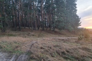 Земельный участок под жилую застройку в Михайловке-Рубежовке, площадь 11.56 сотки фото 2
