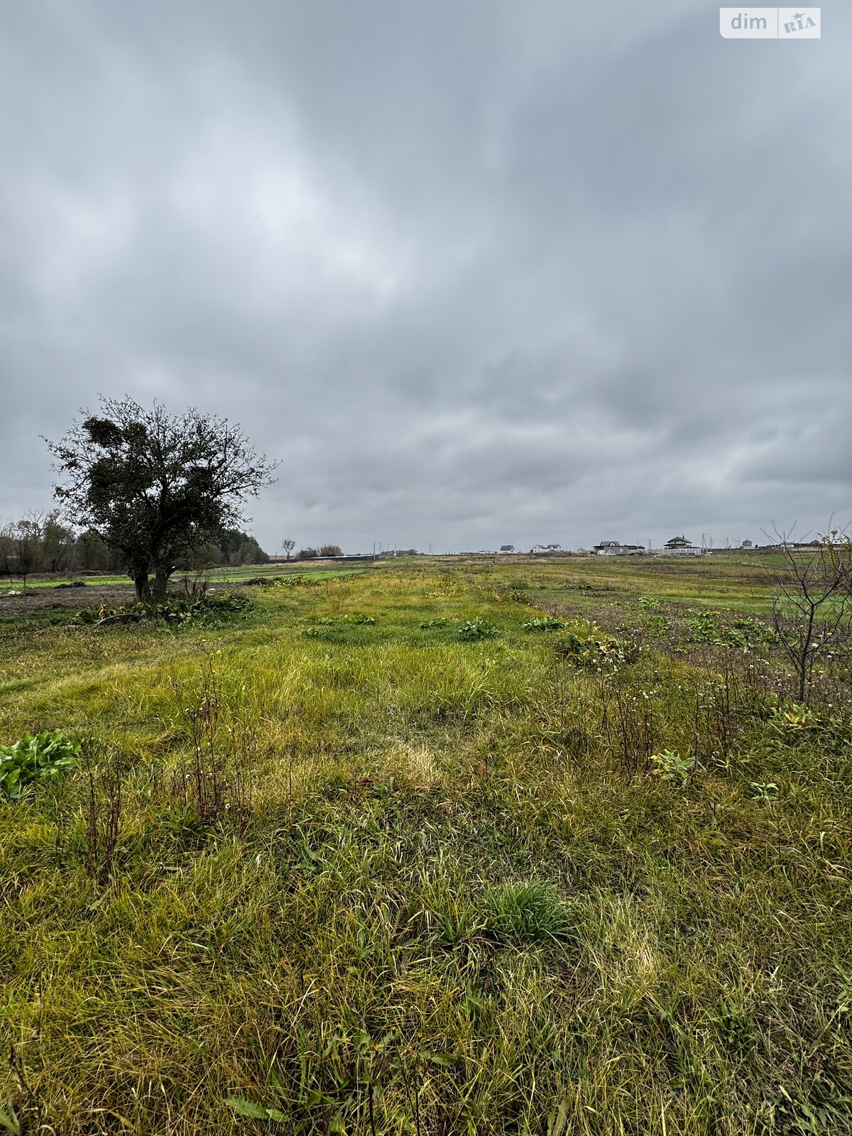 Земельный участок под жилую застройку в Михайловке-Рубежовке, площадь 25 соток фото 1 Земельный участок под жилую застройку в Михайловке-Рубежовке, площадь 25 соток фото 1