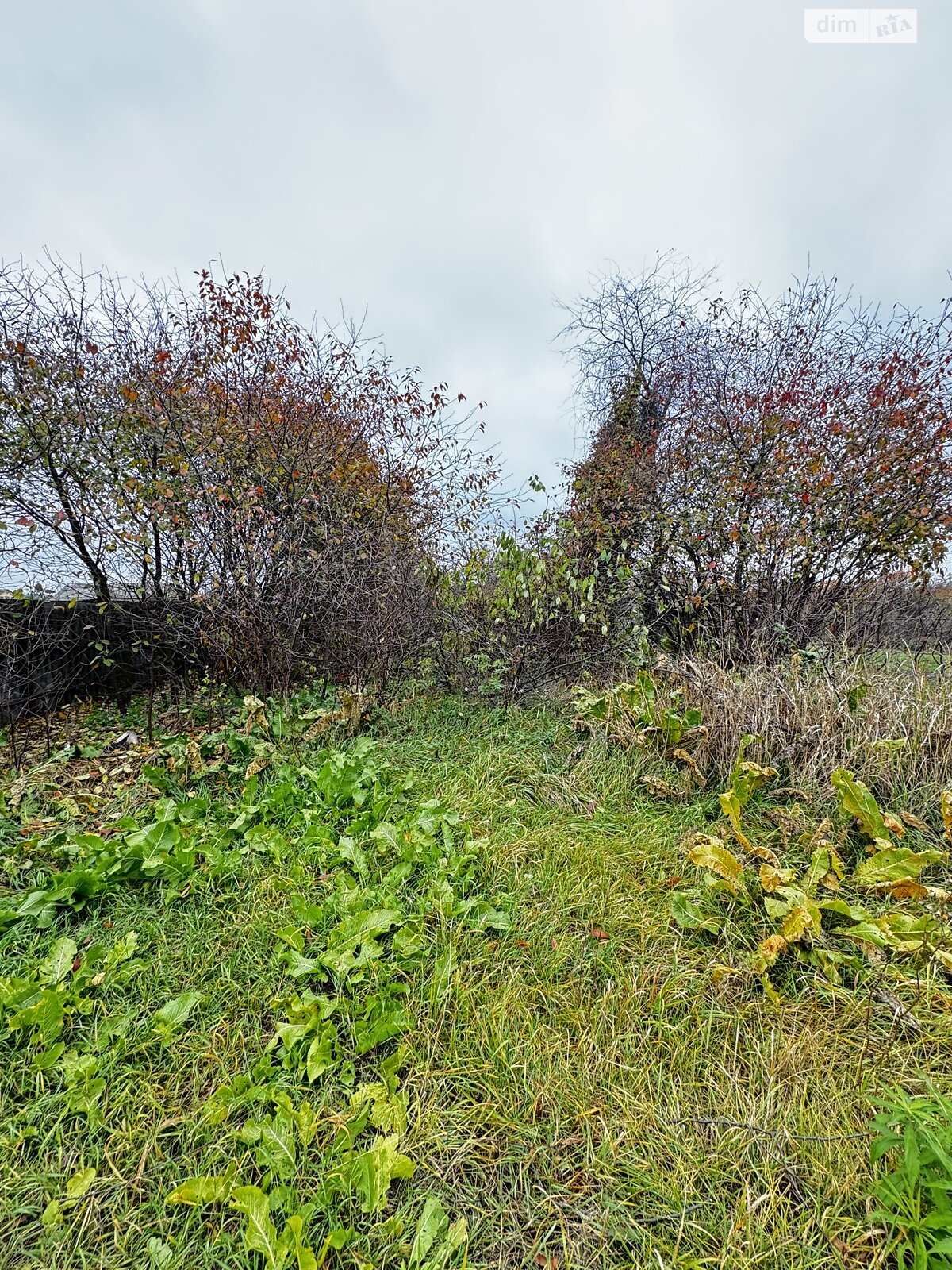 Земельный участок под жилую застройку в Михайловке-Рубежовке, площадь 25 соток фото 1 Земельный участок под жилую застройку в Михайловке-Рубежовке, площадь 25 соток фото 1