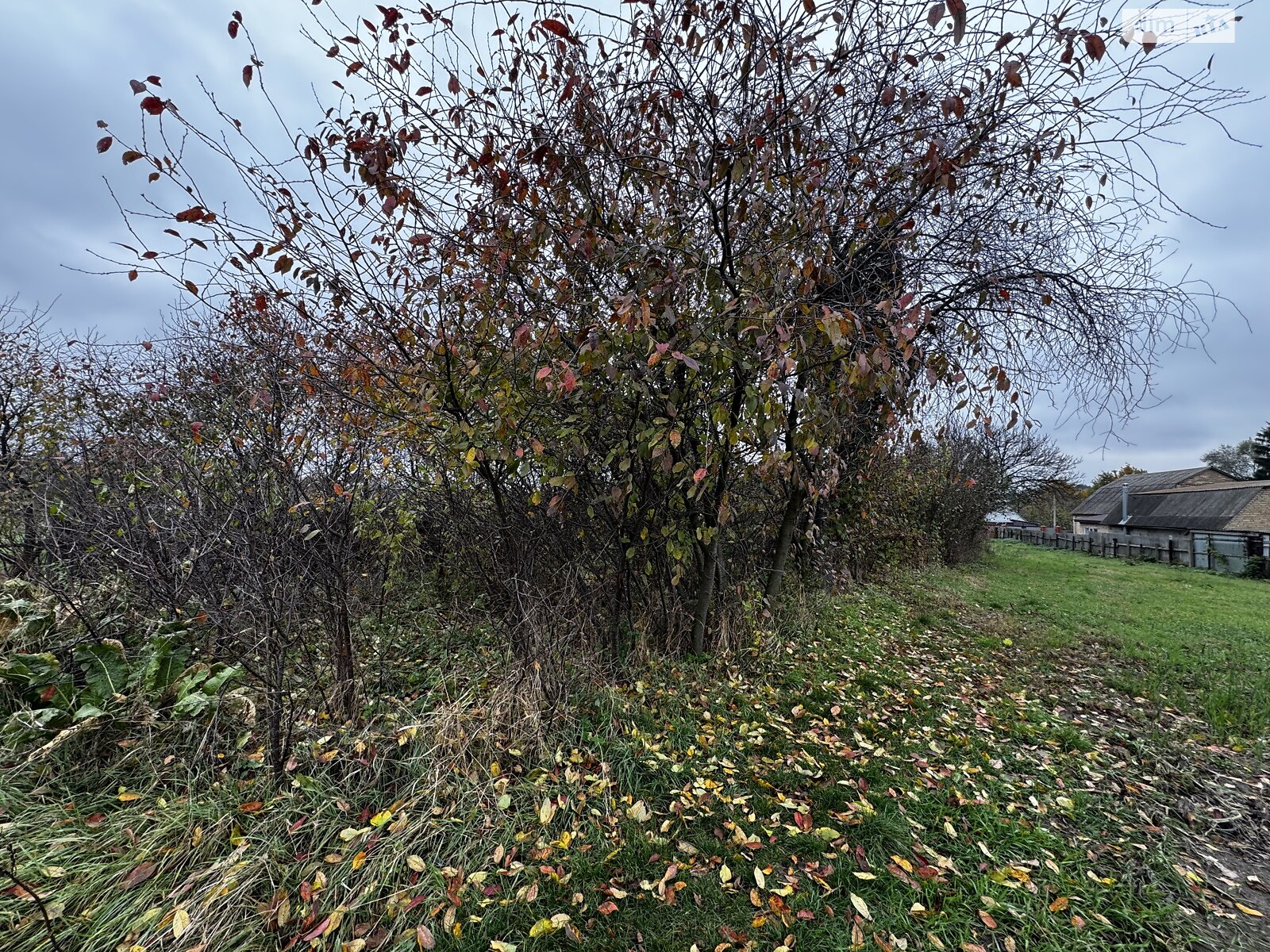 Земельный участок под жилую застройку в Михайловке-Рубежовке, площадь 25 соток фото 1 Земельный участок под жилую застройку в Михайловке-Рубежовке, площадь 25 соток фото 1