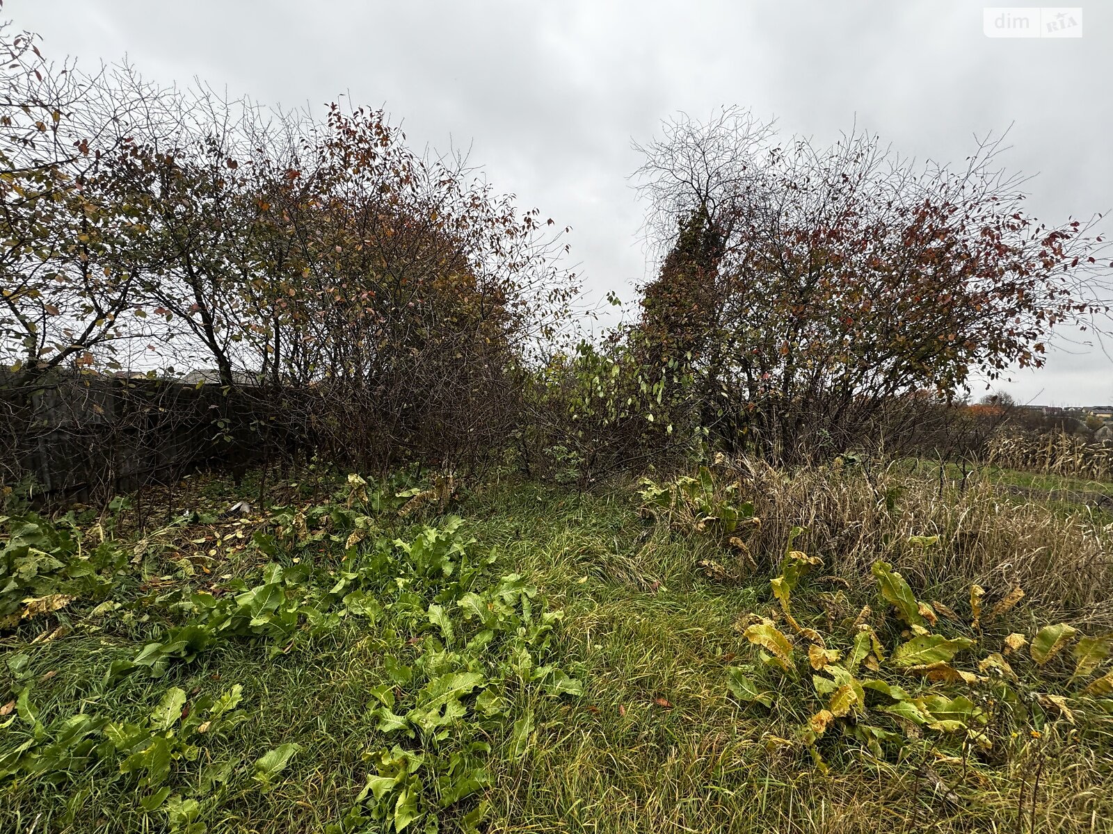 Земельный участок под жилую застройку в Михайловке-Рубежовке, площадь 25 соток фото 1 Земельный участок под жилую застройку в Михайловке-Рубежовке, площадь 25 соток фото 1