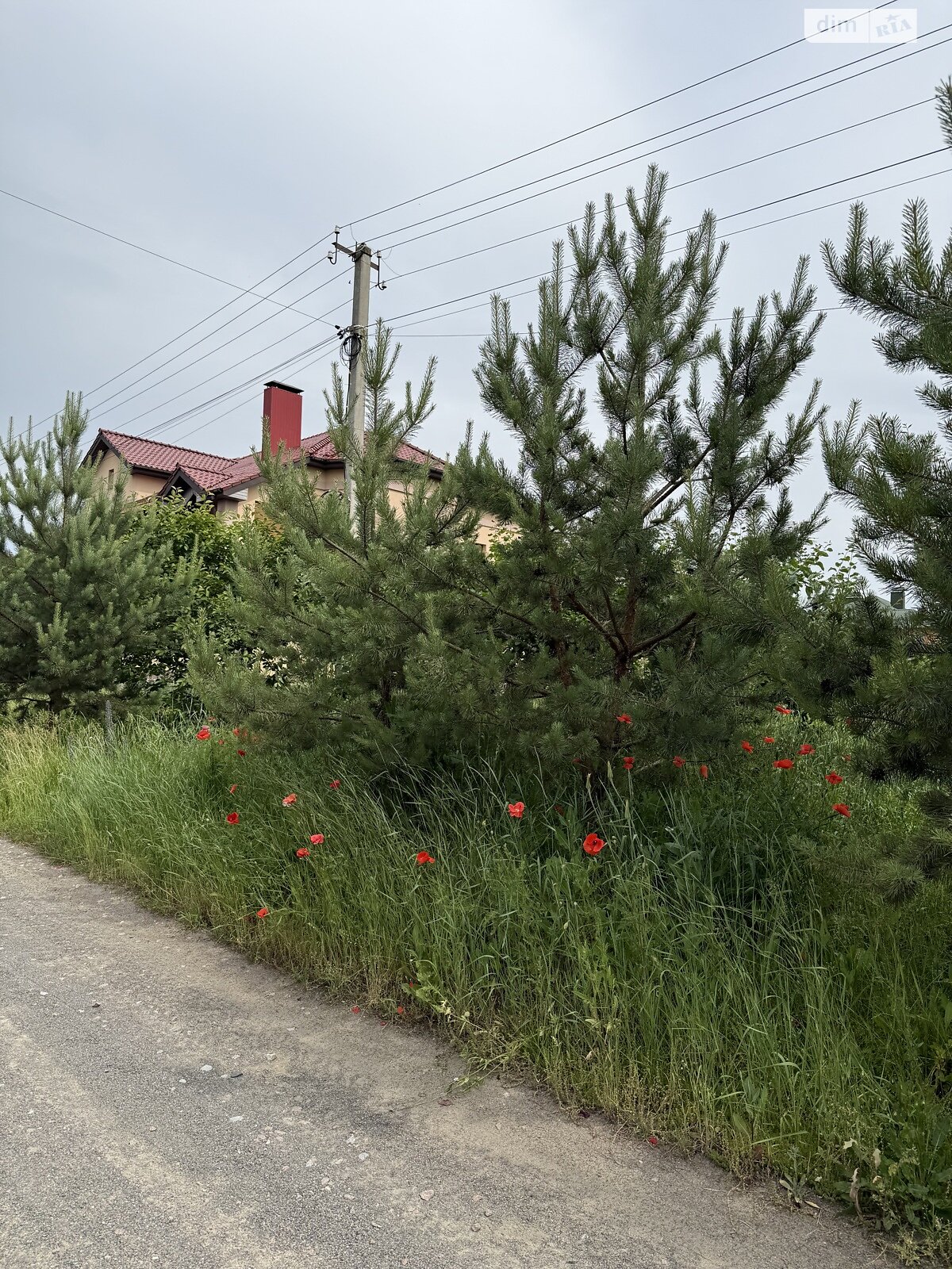 Земельна ділянка під житлову забудову в Михайлівці-Рубежівці, площа 12 соток фото 1 Земельна ділянка під житлову забудову в Михайлівці-Рубежівці, площа 12 соток фото 1