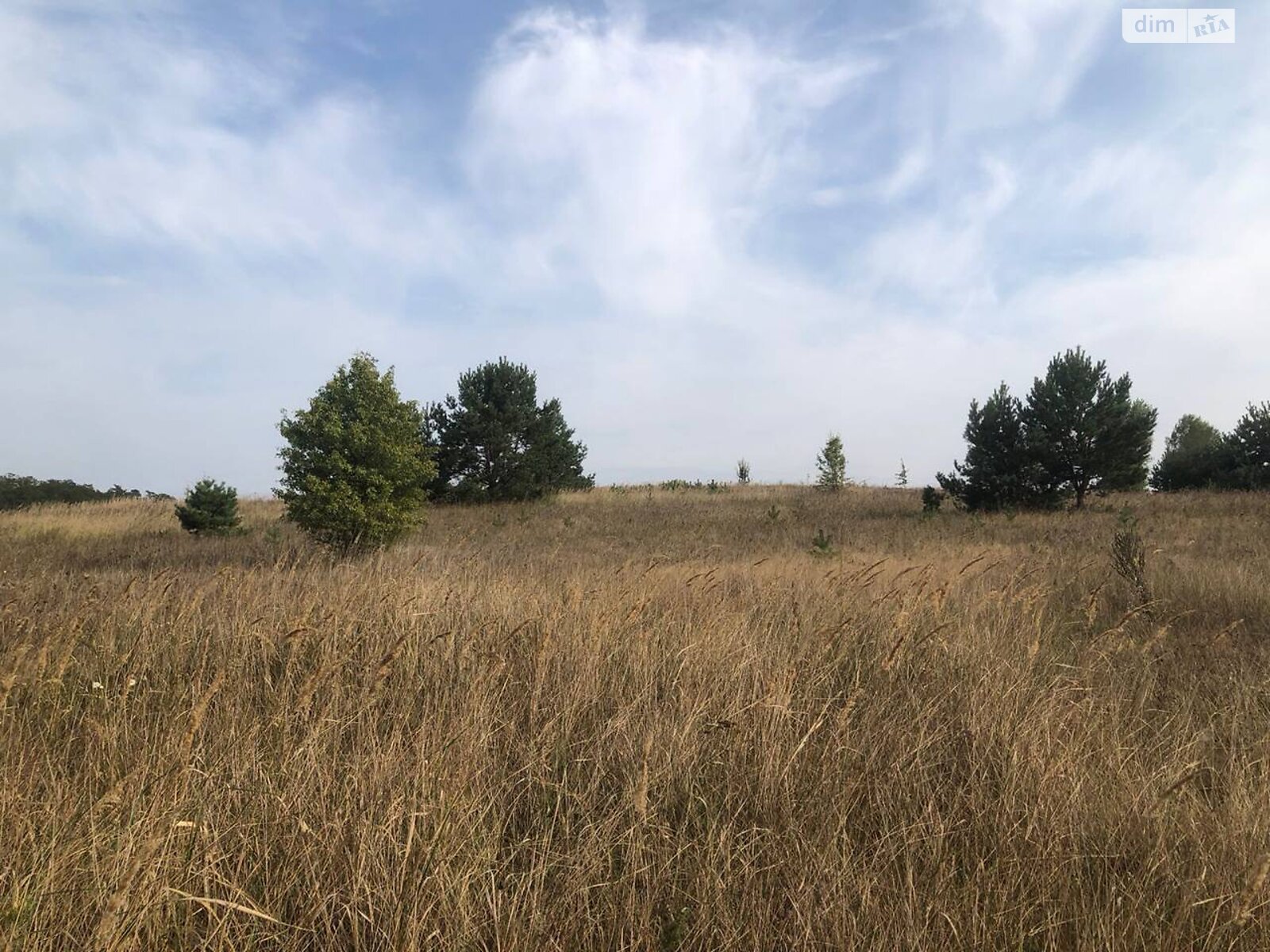 Земельный участок под жилую застройку в Михайловке-Рубежовке, площадь 40 соток фото 1