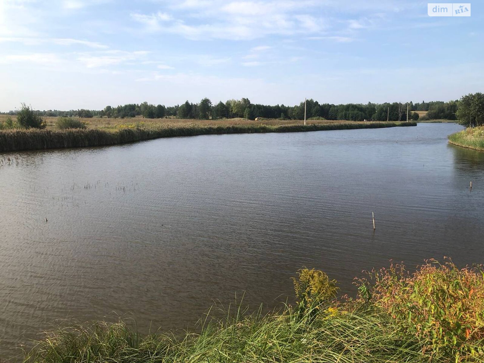 Земельный участок под жилую застройку в Михайловке-Рубежовке, площадь 40 соток фото 1