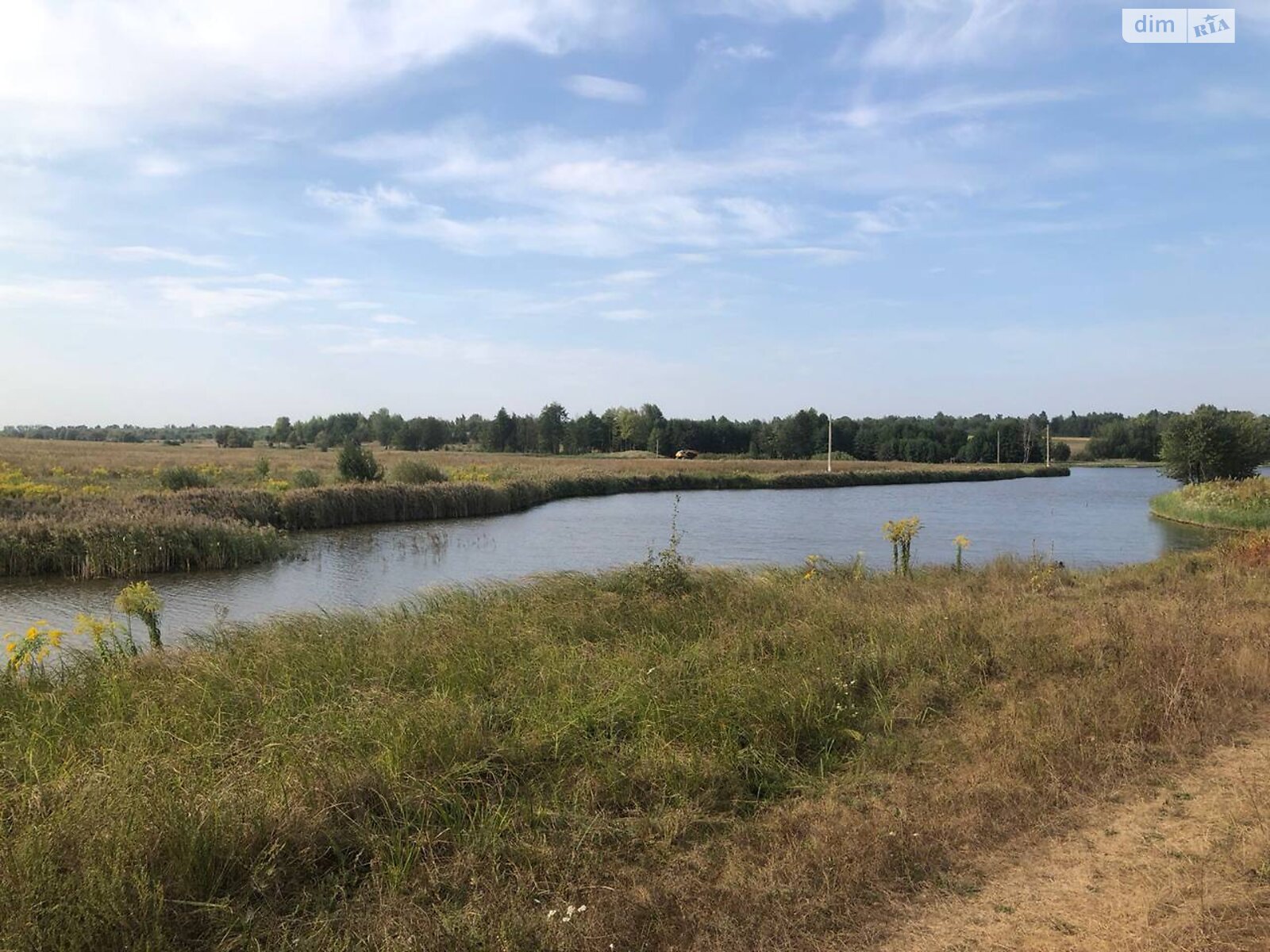 Земельный участок под жилую застройку в Михайловке-Рубежовке, площадь 40 соток фото 1