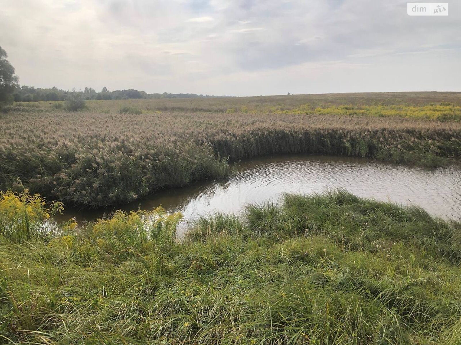Земельный участок под жилую застройку в Михайловке-Рубежовке, площадь 40 соток фото 1