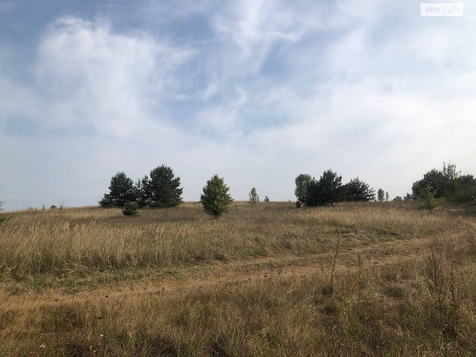 Земельный участок под жилую застройку в Михайловке-Рубежовке, площадь 40 соток фото 1