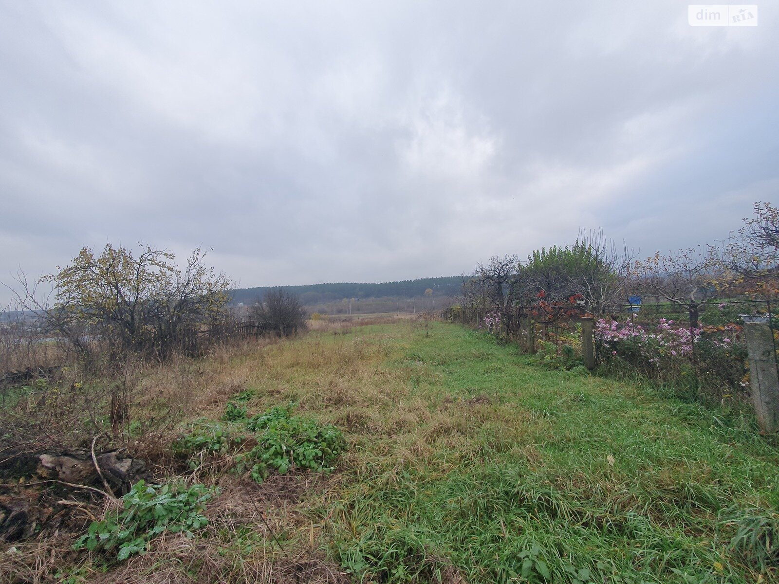 Земельна ділянка під житлову забудову в Михайлівці-Рубежівці, площа 19.12 сотки фото 1