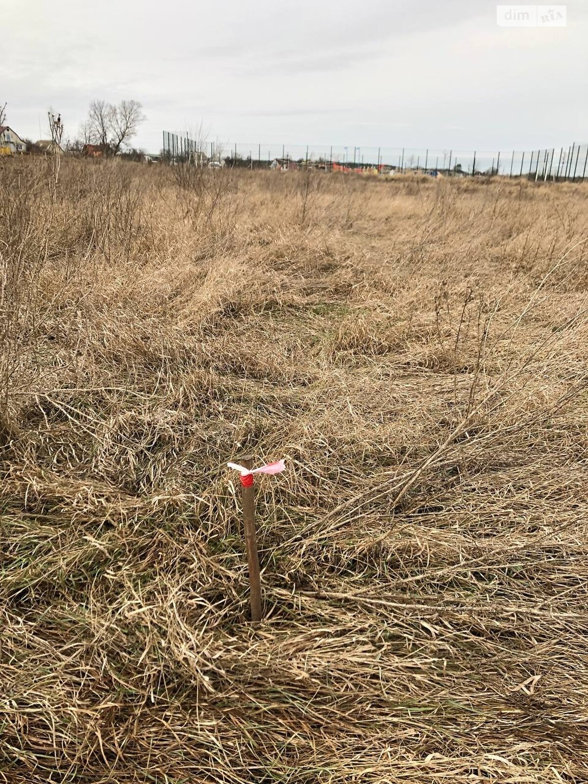 Земельна ділянка під житлову забудову в Михайлівці-Рубежівці, площа 10 соток фото 1