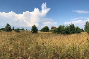 Земельный участок под жилую застройку в Михайловке-Рубежовке, площадь 15 соток фото 2