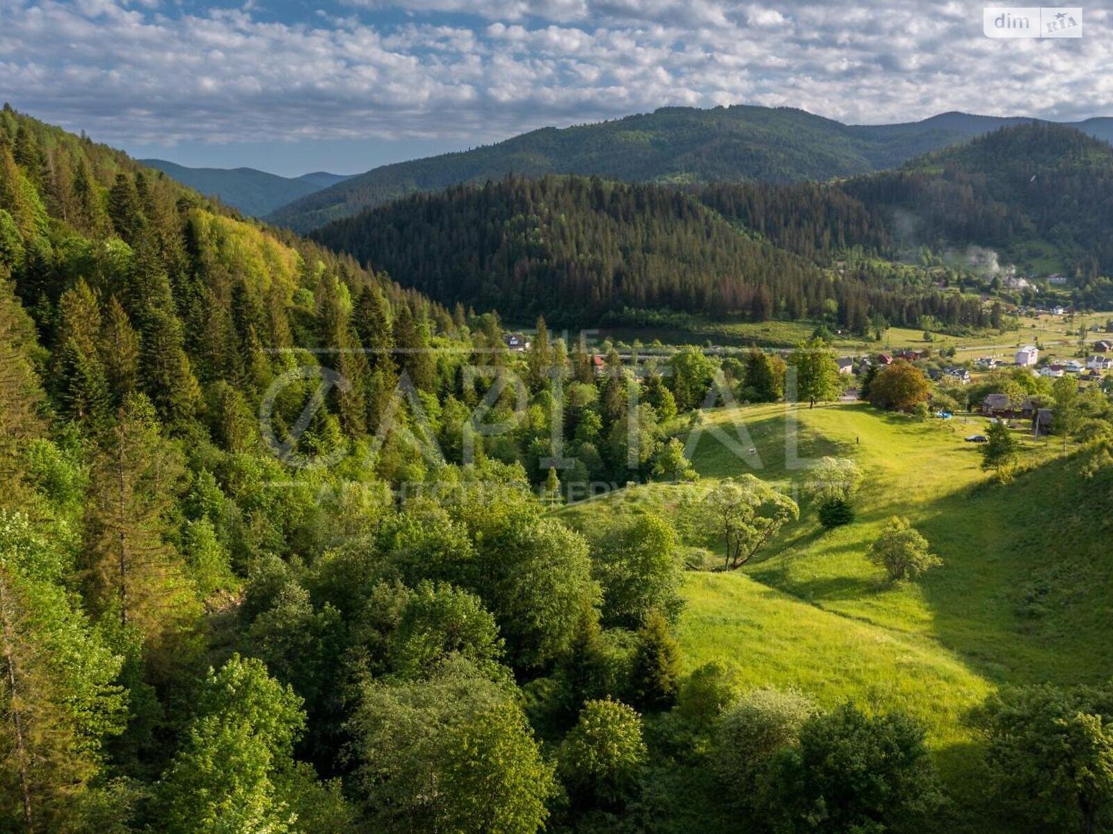 Земельна ділянка під житлову забудову в Микуличині, площа 140 соток фото 1