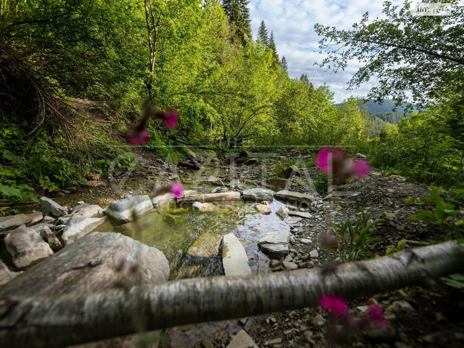 Земельна ділянка під житлову забудову в Микуличині, площа 140 соток фото 1