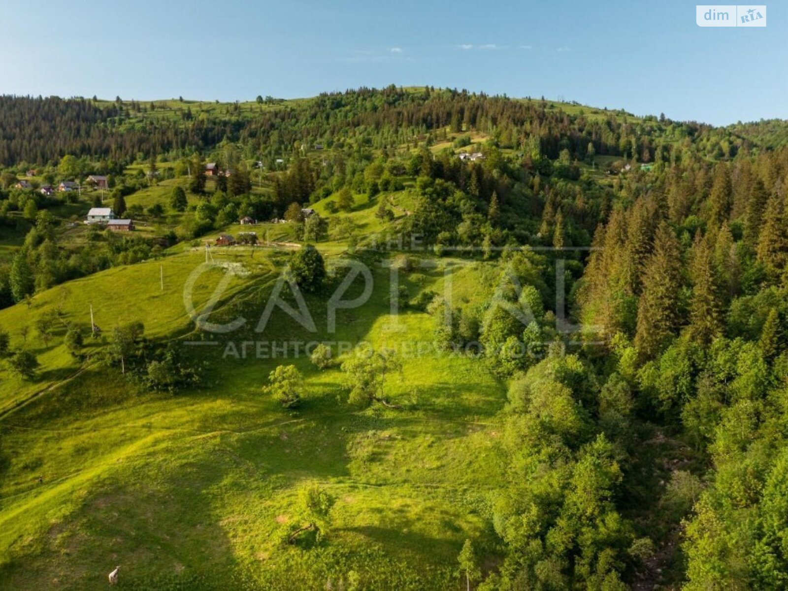 Земельна ділянка під житлову забудову в Микуличині, площа 140 соток фото 1