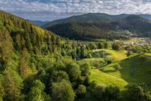 Земельный участок под жилую застройку в Микуличине, площадь 140 соток фото 2