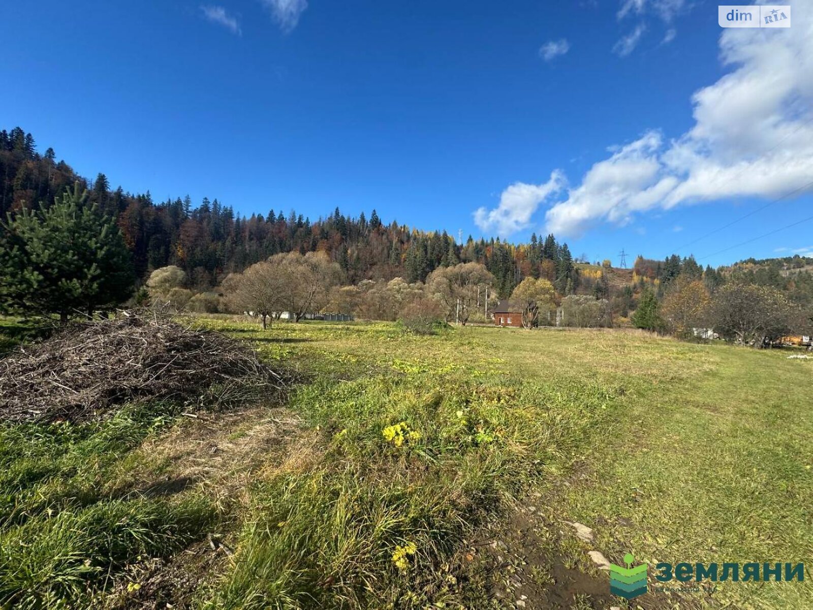 Земельный участок под жилую застройку в Микуличине, площадь 29.8 сотки фото 1 Земельный участок под жилую застройку в Микуличине, площадь 29.8 сотки фото 1