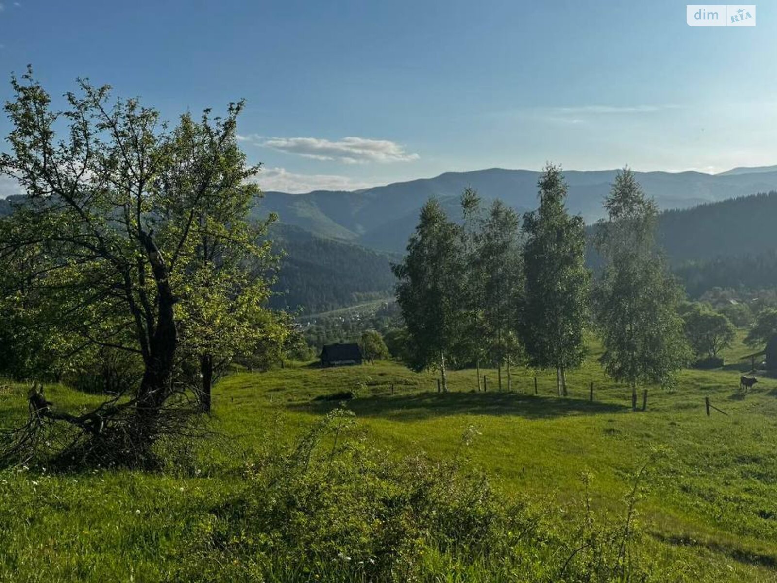 Земельна ділянка під житлову забудову в Микуличині, площа 0.6058 Га фото 1 Земельна ділянка під житлову забудову в Микуличині, площа 0.6058 Га фото 1